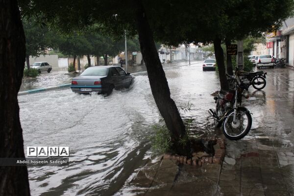 بارش باران و آبگرفتگی معابر در بوشهر