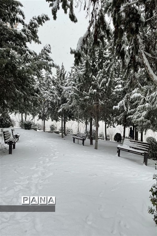 برف امروز تهران