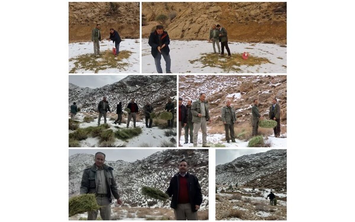 فرماندارانی که در عمل مهربانی با حیات وحش را فرهنگ‌سازی کردند