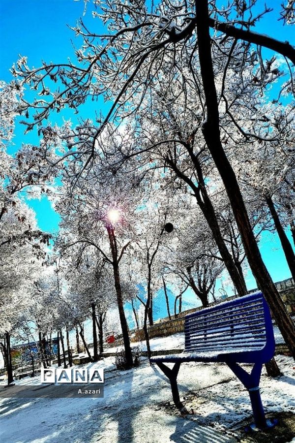 نقاشی زیبای طبیعت با بارش برف در شهرستان بن