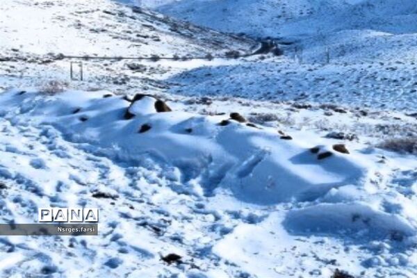 طبیعت برفی روستای «ونان» قم