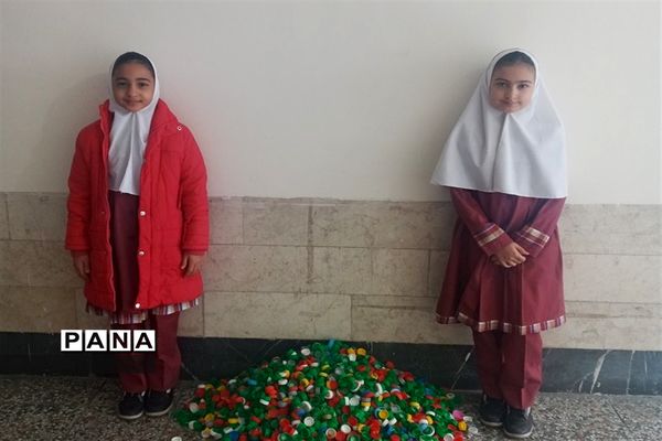 خرید یک ویلچر هدیه با جمع‌آوری درب بطری‌های پلاستیکی