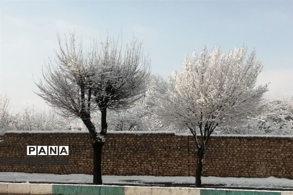 بارش سومین برف زمستانی چهره شهرستان بهاباد را سفید پوش کرد