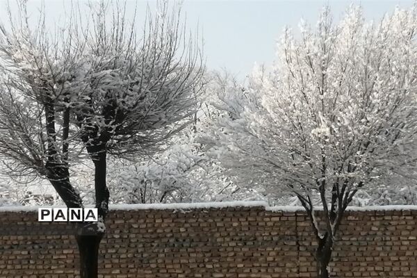 بارش سومین برف زمستانی چهره شهرستان بهاباد را سفید پوش کرد