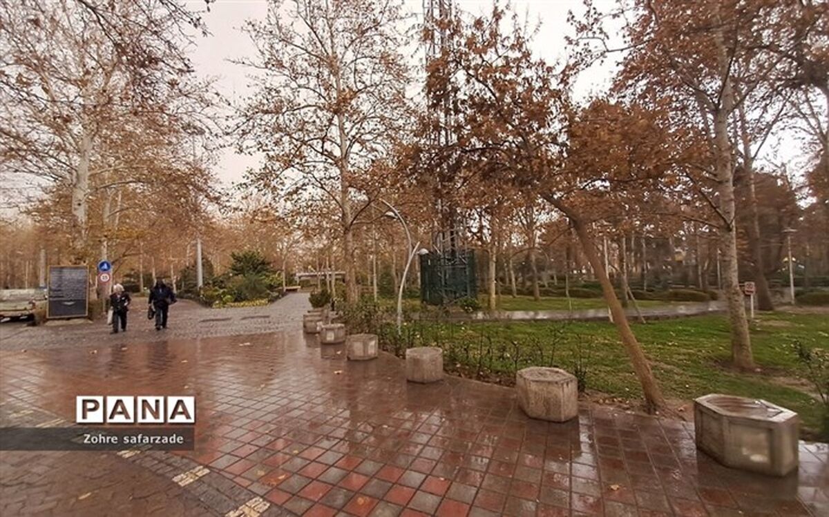 باران پاکی روی کیفیت هوای تهران؛ هوا به مرز «پاک» رسید