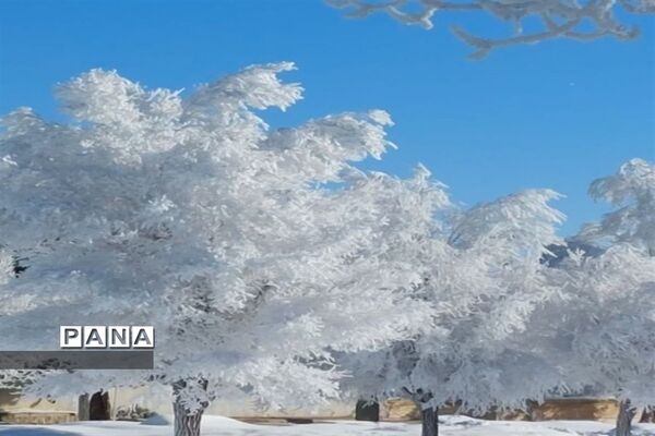روز دل انگیز برفی در شهرستان بن