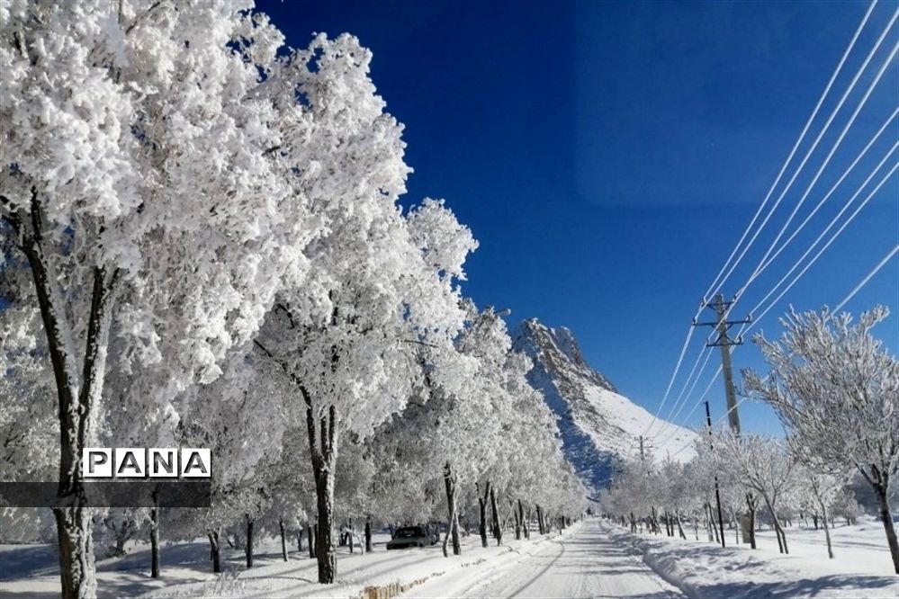 روز دل انگیز برفی در شهرستان بن
