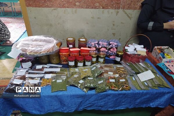 برگزاری بازارچه دانش‌آموزی در دبیرستان نوشین بختیاری بخش جوادآباد