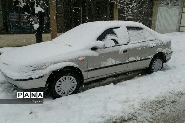 بارش سنگین برف در فارسان