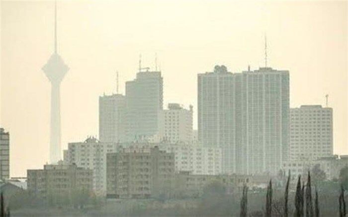 امانی انتقاد کرد؛ بودجه آلودگی هوای تهران فقط ۸۰ میلیارد تومان