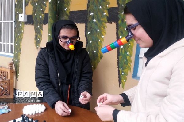 گرامیداشت دهه فجر در مدارس ملارد