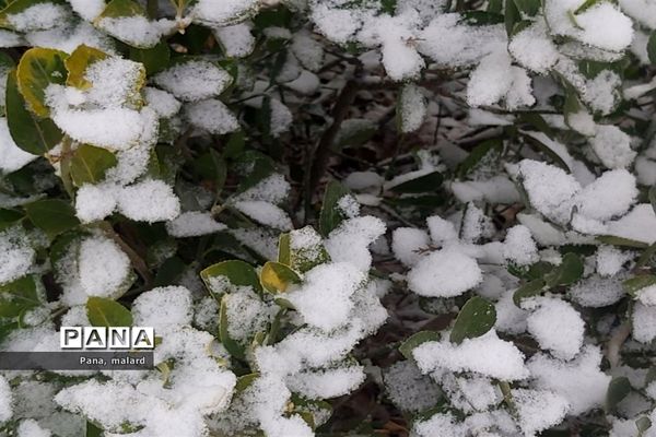 رنگ  سفید برف بر چهره ملارد و صفادشت