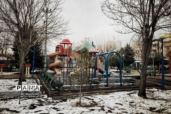 بارش برف زمستانی در تهران