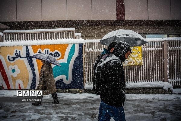 بارش برف زمستانی در تهران