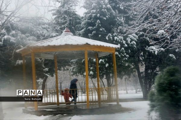 بارش شدید برف تهران را سفیدپوش کرد