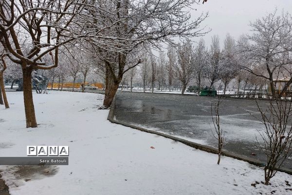 بارش شدید برف تهران را سفیدپوش کرد