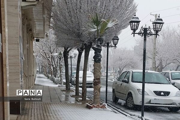 بارش شدید برف تهران را سفیدپوش کرد