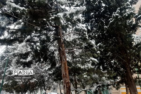 بارش برف تهران را سفید پوش کرد