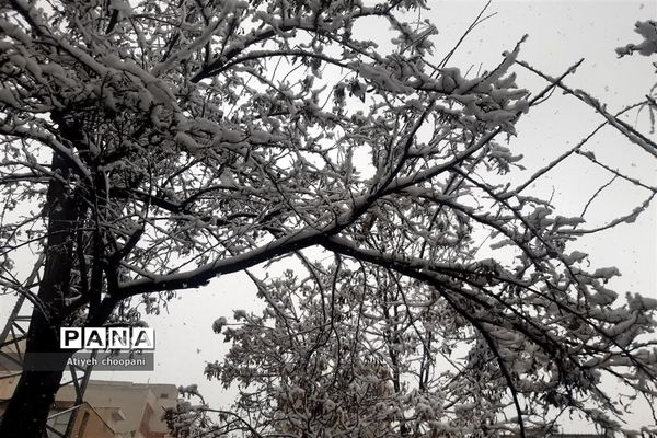 بارش برف تهران را سفید پوش کرد