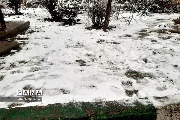 بارش برف تهران را سفید پوش کرد