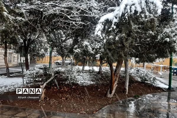 بارش برف تهران را سفید پوش کرد
