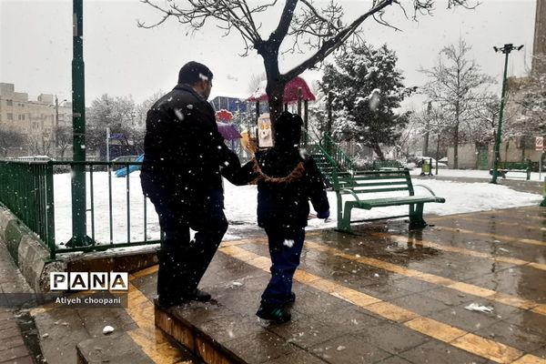 بارش برف تهران را سفید پوش کرد