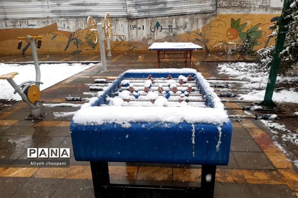 بارش برف تهران را سفید پوش کرد