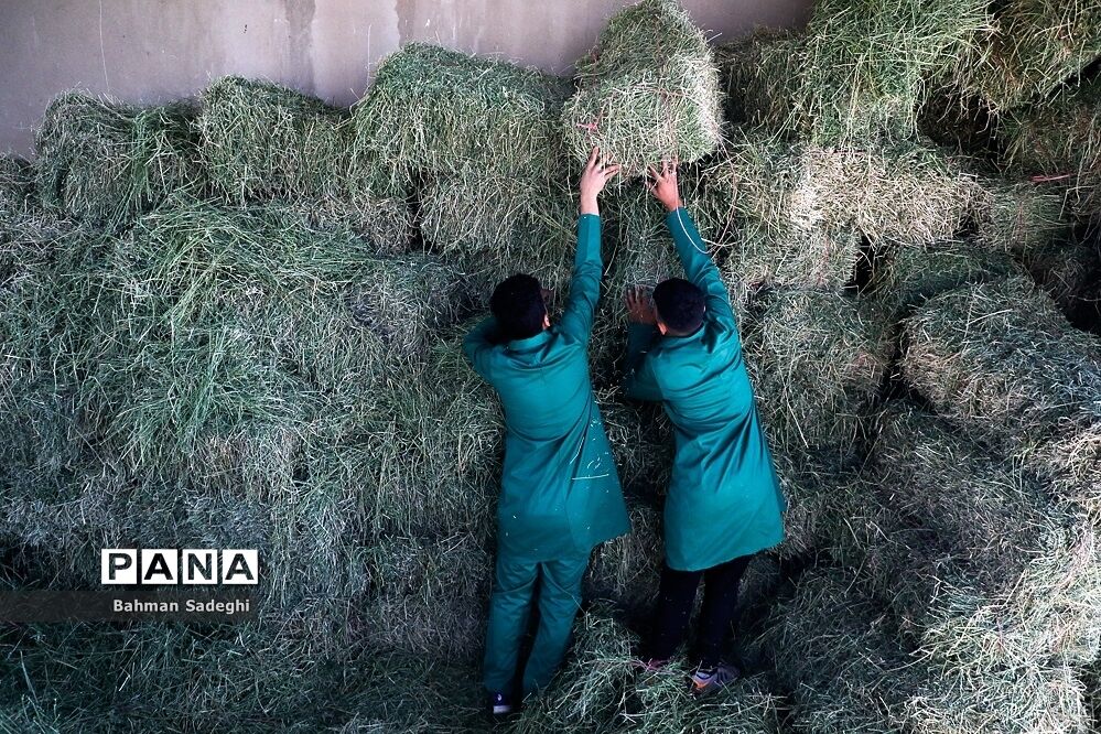 بومی کردن دانش کشاورزی به کمک هنرستان‌های کشاورزی میسر می‌شود