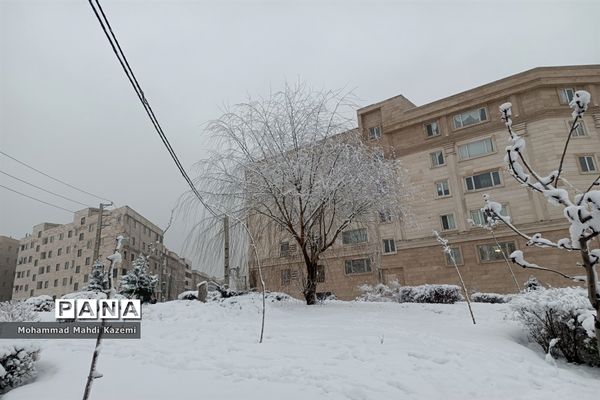 بارش شدید برف در تهران