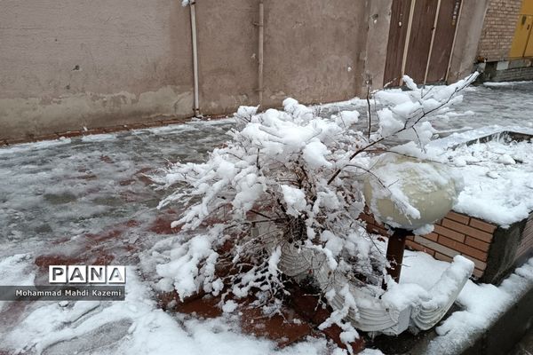 بارش شدید برف در تهران