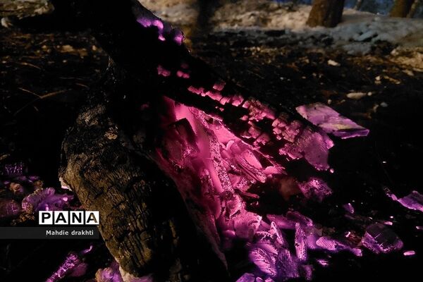 یک روز برفی در پارک جنگلی چیتگر