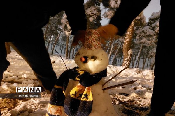 یک روز برفی در پارک جنگلی چیتگر