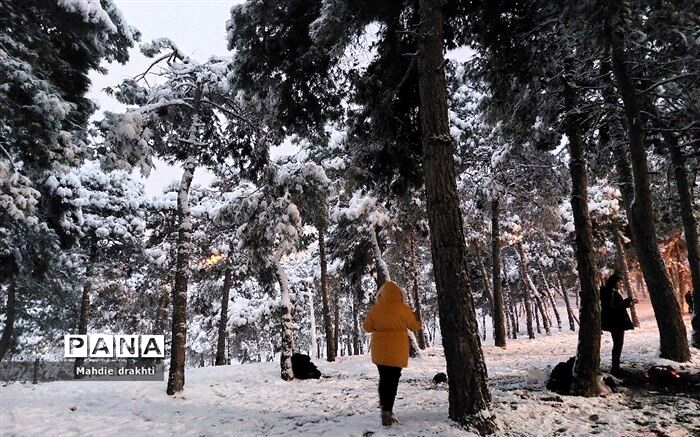 آمادگی پلیس راهور برای یخبندان شبانه و بامدادی در معابر تهران