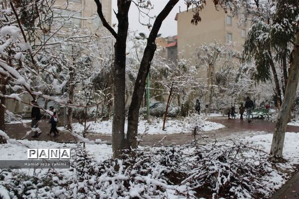 تهران لباس سفید بر تن کرد