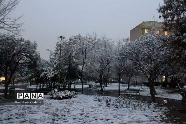 تهران لباس سفید بر تن کرد