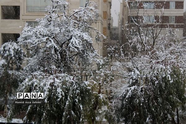 تهران لباس سفید بر تن کرد