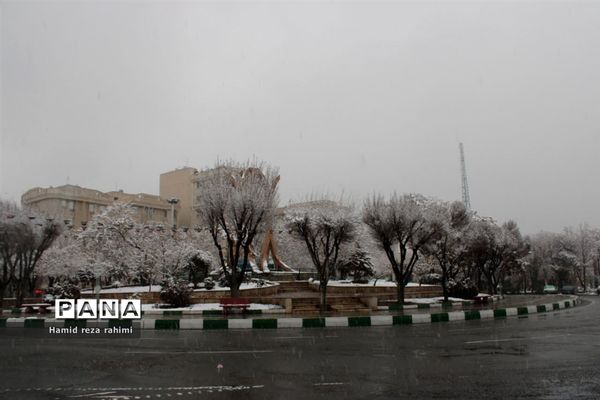 تهران لباس سفید بر تن کرد