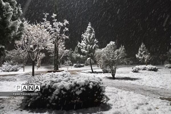 بارش برف زمستانی در فشافویه