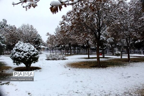 بارش برف زمستانی در فشافویه