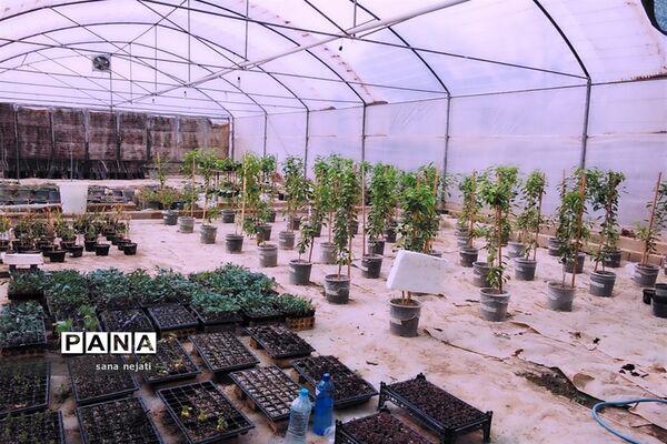 بازدید دانش‌آموزان برگزیده مسابقات پژوهش سراهای دانش‌آموزی از دانشگاه کشاورزی استان فارس