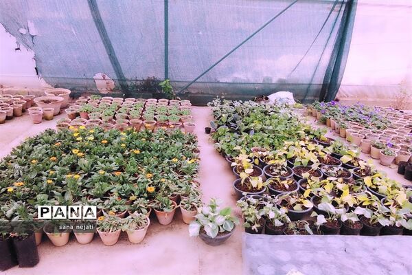 بازدید دانش‌آموزان برگزیده مسابقات پژوهش سراهای دانش‌آموزی از دانشگاه کشاورزی استان فارس