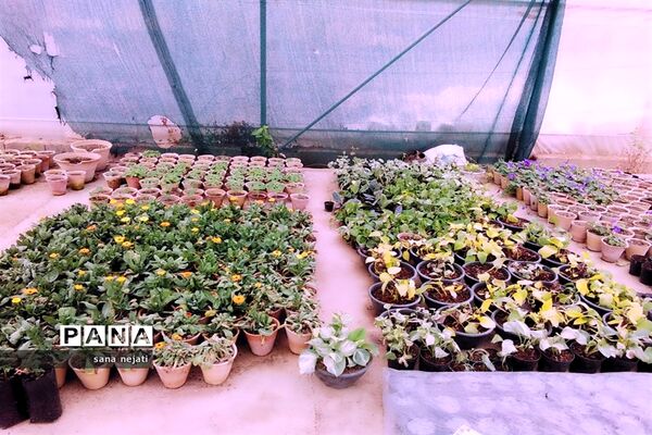 بازدید دانش‌آموزان برگزیده مسابقات پژوهش سراهای دانش‌آموزی از دانشگاه کشاورزی استان فارس
