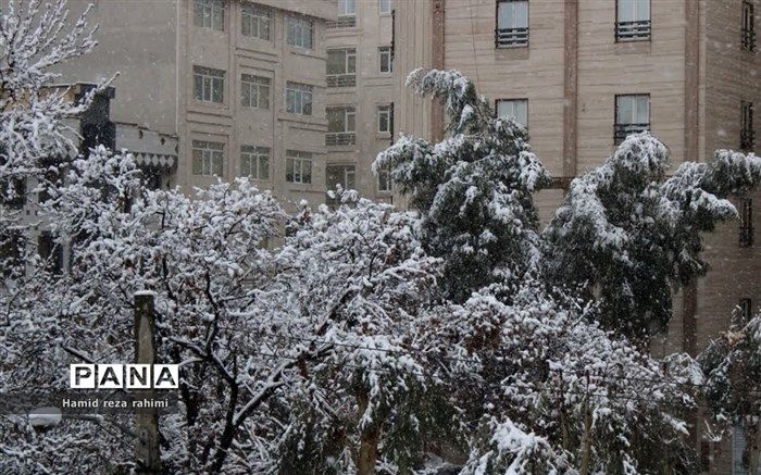 تهرانی‌ها شبی برفی‌‌ پیش‌رو دارند