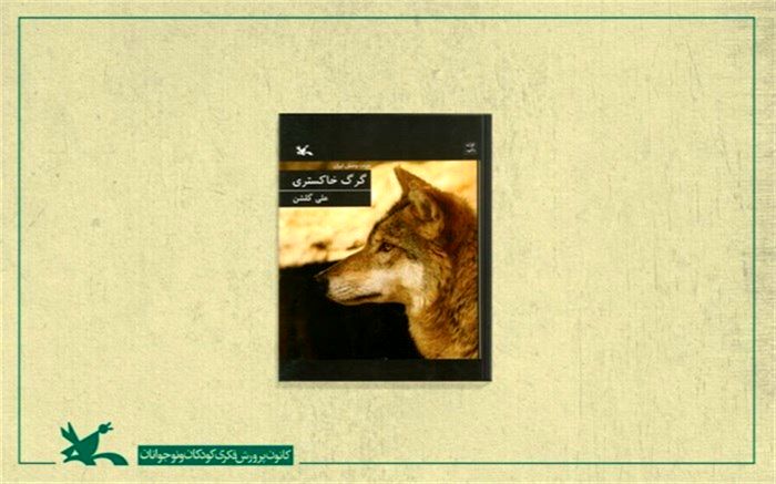 «گرگ خاکستری» از مجموعه حیات وحش ایران منتشر شد
