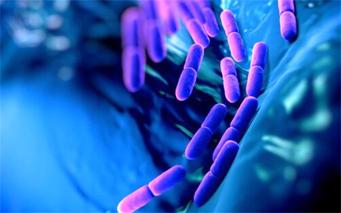 تاکید بر ماهیت زنده میکرو ارگانیسم‌ها در پروبیوتیک‌ها