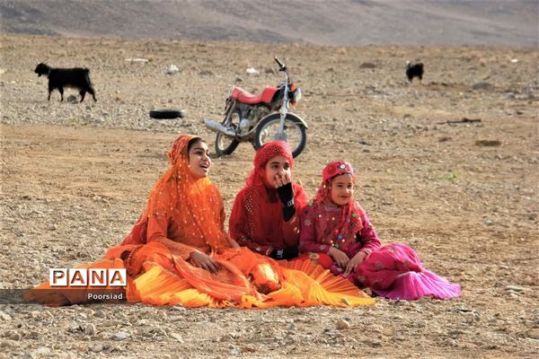 آغاز رزمایش جهادی دامپزشکی استان یزد در شهرستان ابرکوه