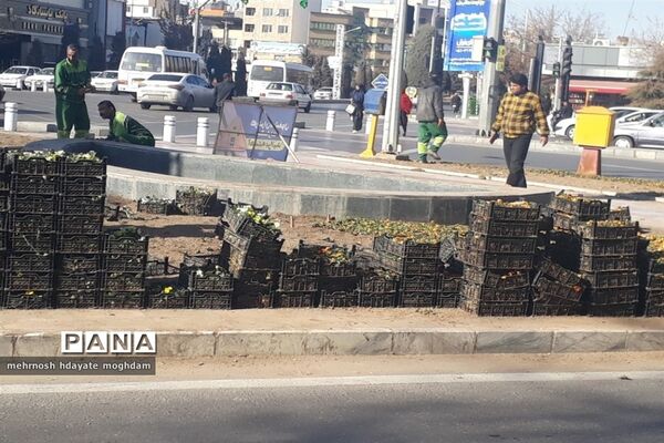 مشهد در انتظار بهار