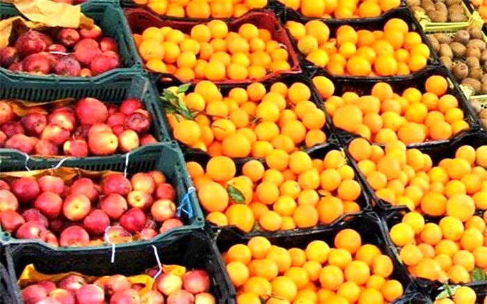 محدودیت صادرات سیب درختی و پرتقال