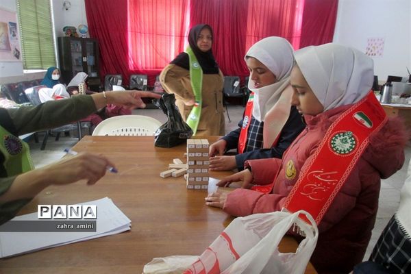 برگزاری مسابقات بازی‌های فکری سرگرمی رویش در شهرستان سروستان