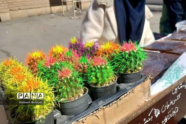 بازارچه آموزش کسب و کاردانش‌آموزان آموزشگاه آیت‌الله گلپایگانی اسلامشهر